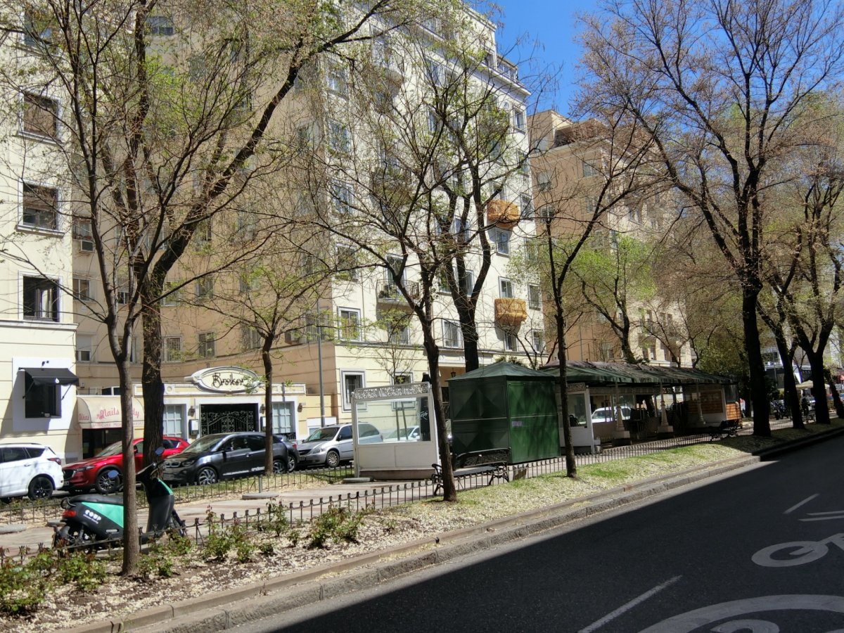 Pisos-Venta-Madrid-456587-Foto-24