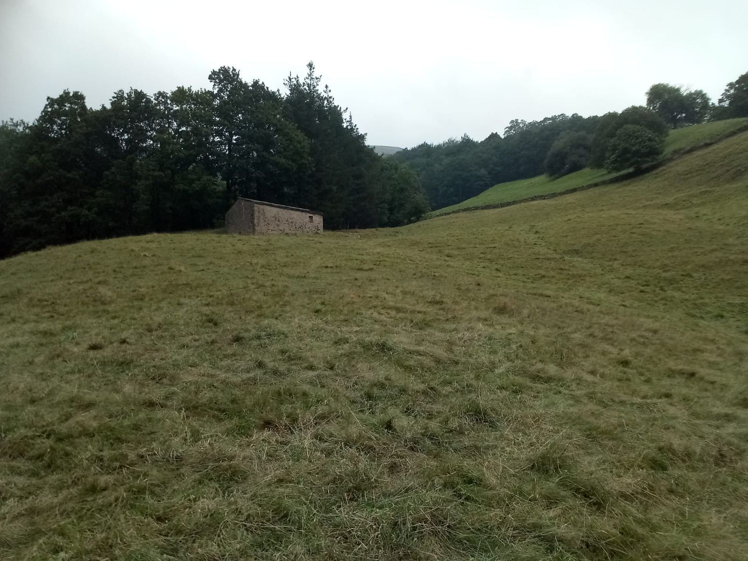 Casas o chalets-Venta-Vega de Pas-447175-Foto-3