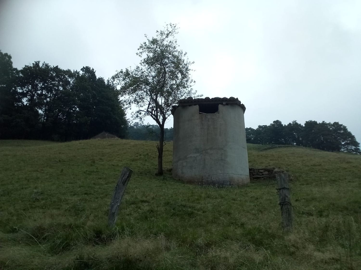 Casas o chalets-Venta-Vega de Pas-447175-Foto-5