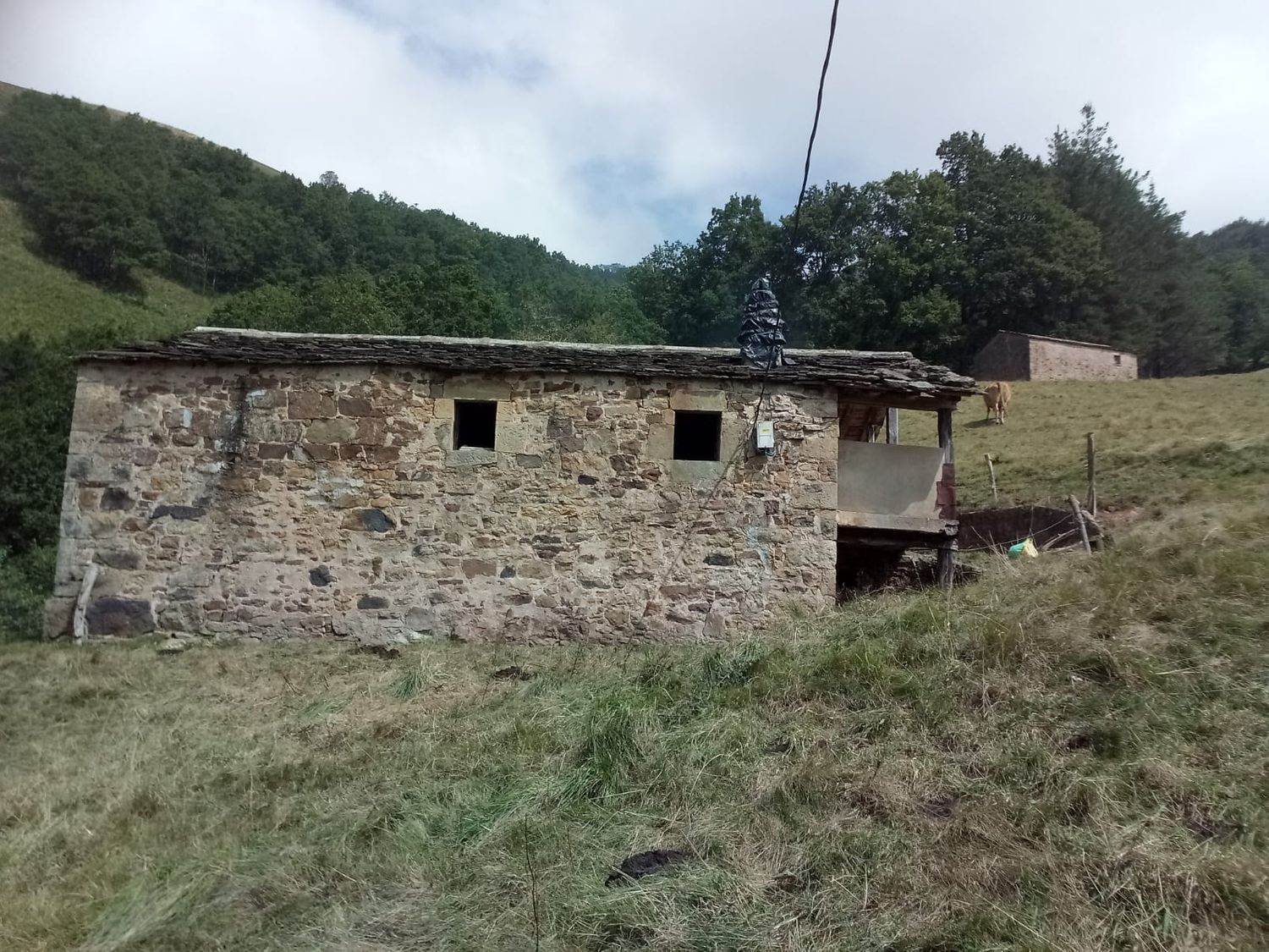 Casas o chalets-Venta-Vega de Pas-447175-Foto-9