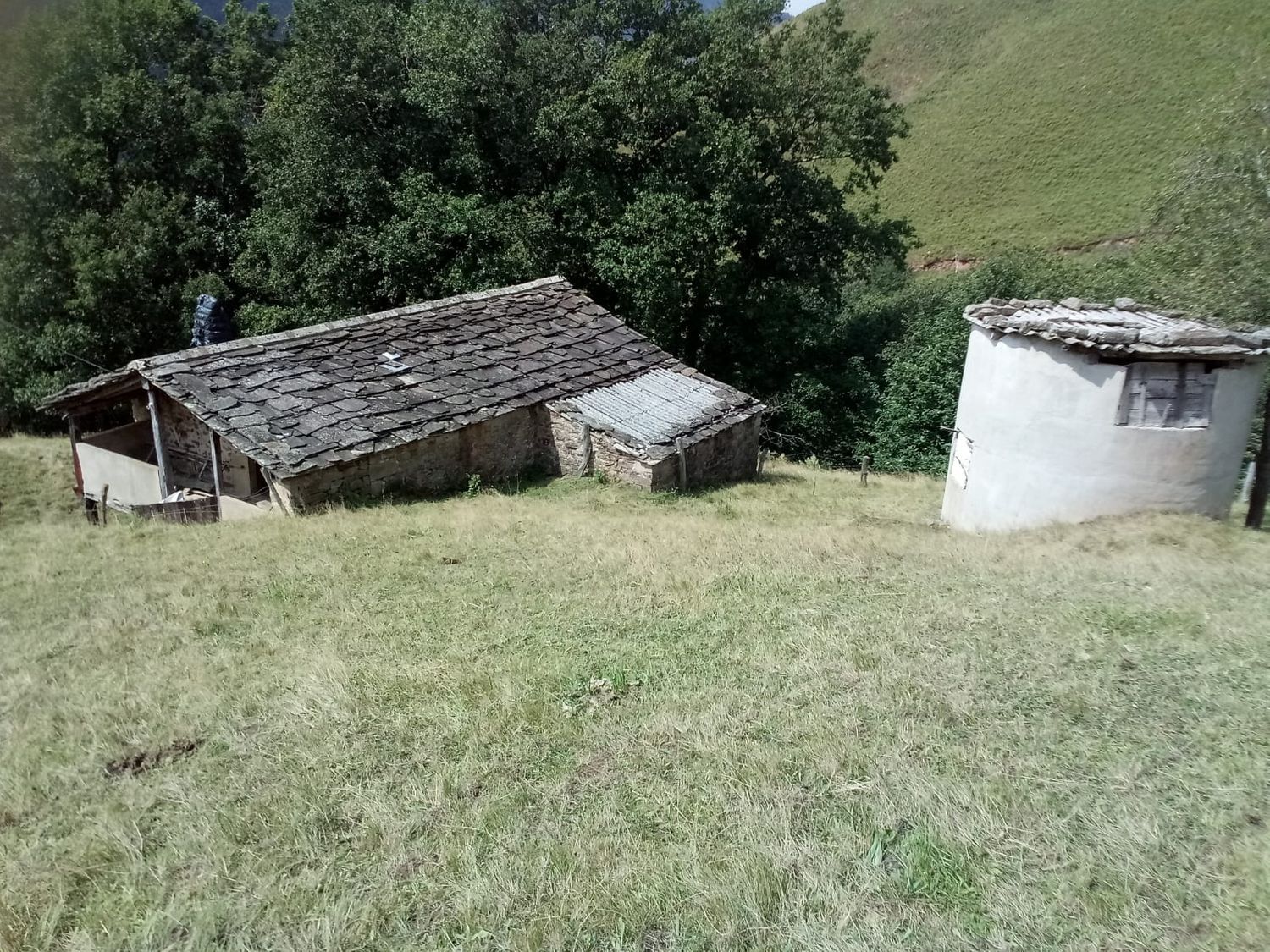 Casas o chalets-Venta-Vega de Pas-447175-Foto-12