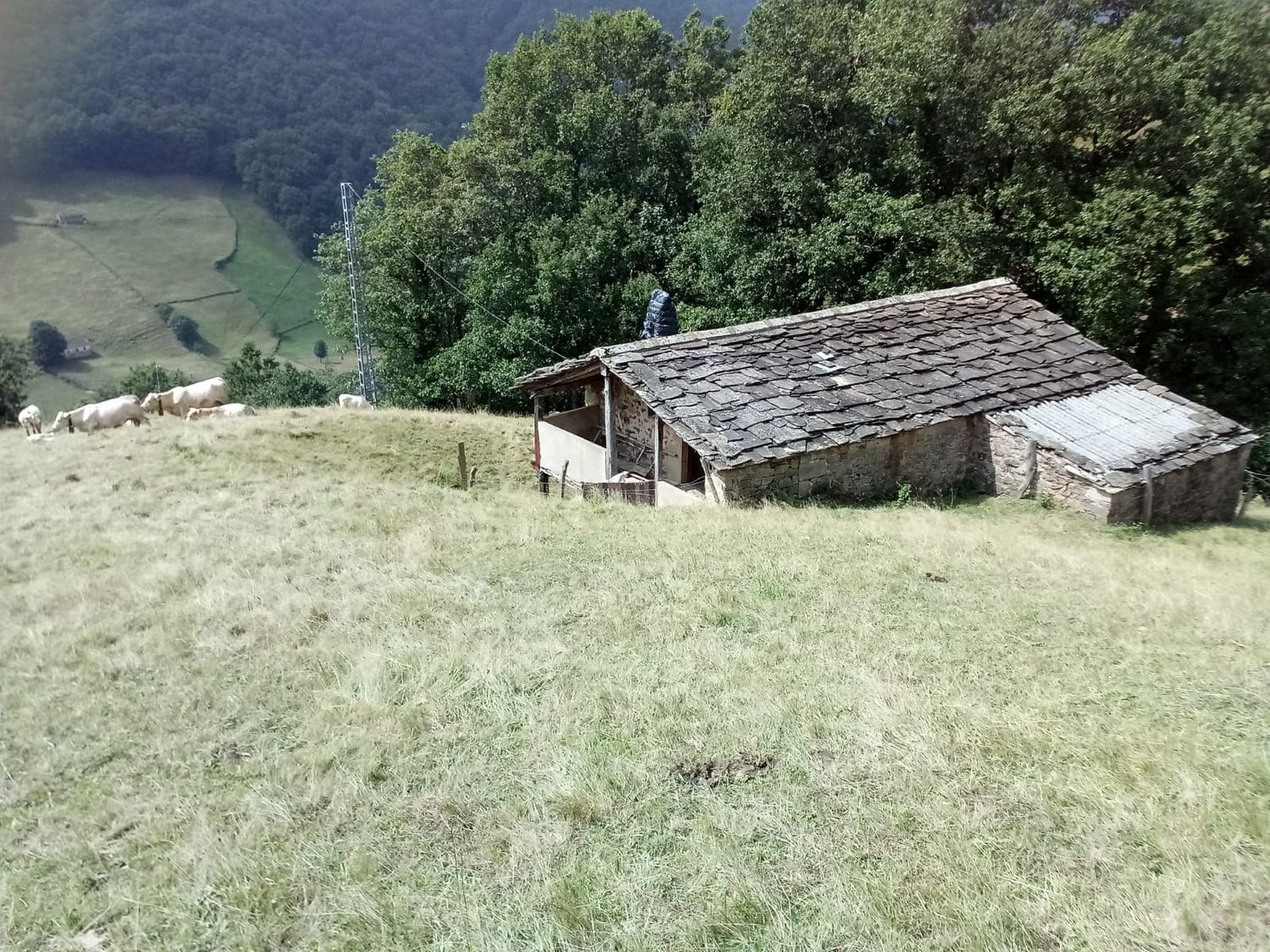 Casas o chalets-Venta-Vega de Pas-447175-Foto-16