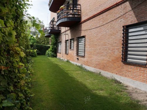 Pisos-Alquiler-Madrid-1866580-Foto-23