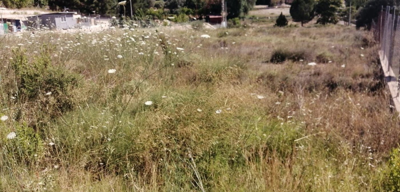 Suelo en venta, Molina de Segura, Murcia
