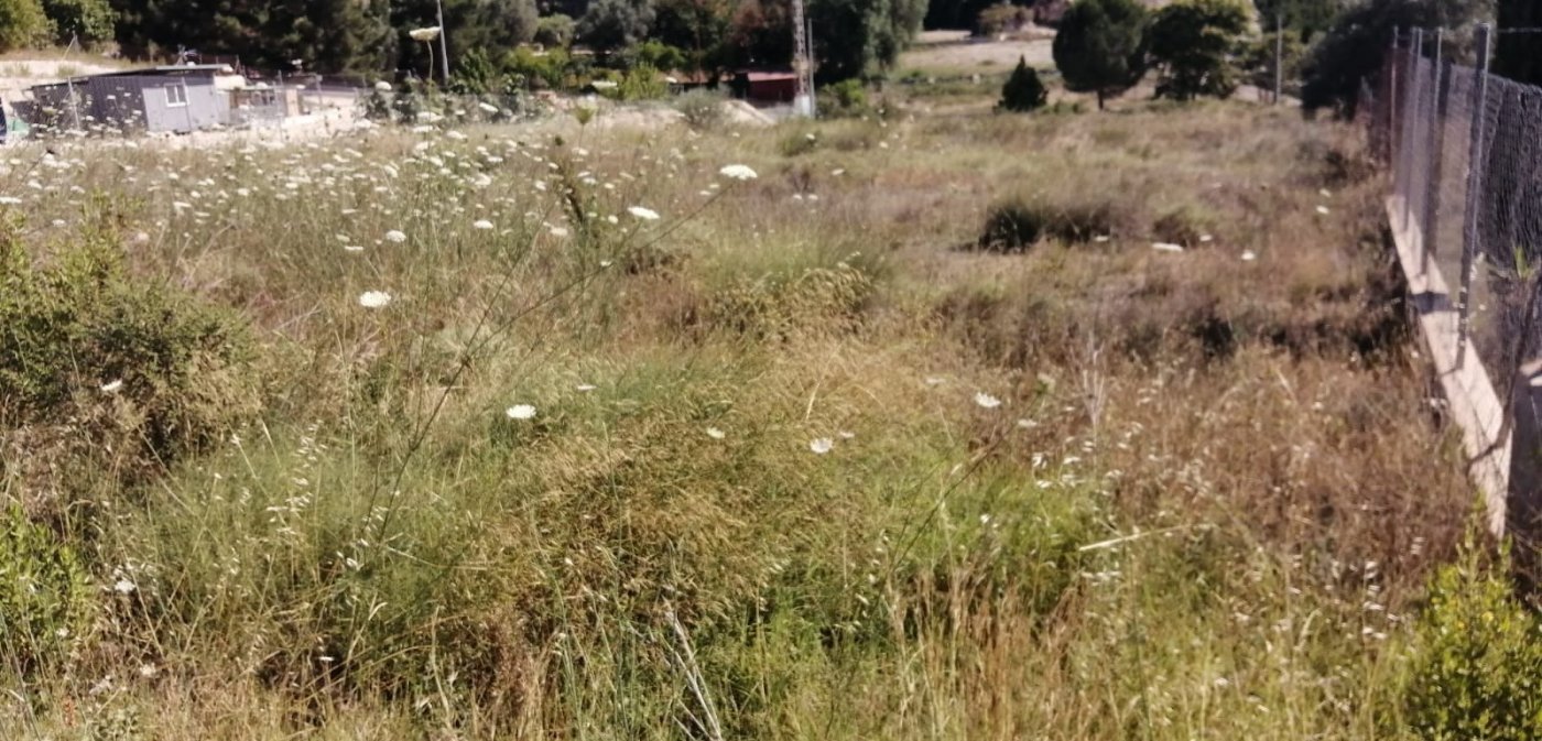Suelo en venta, Molina de Segura, Murcia, Murcia