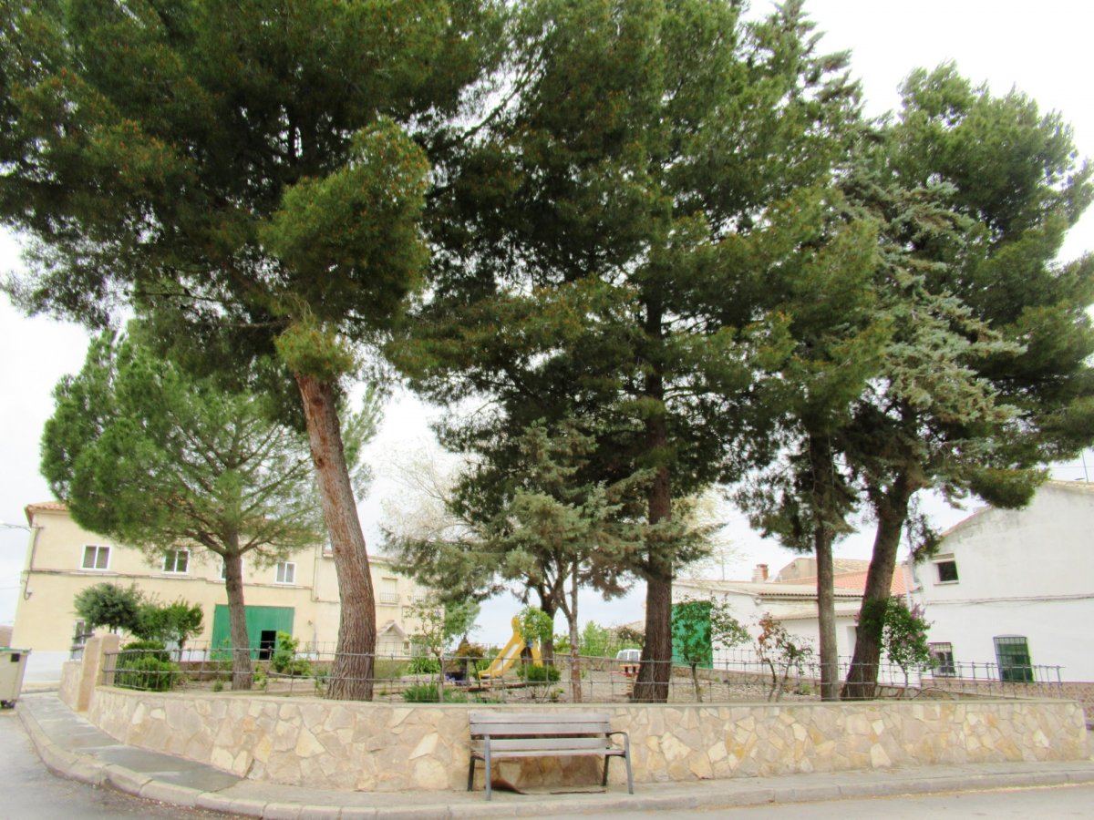 Casas o chalets-Venta-Palomares del Campo-626235-Foto-12