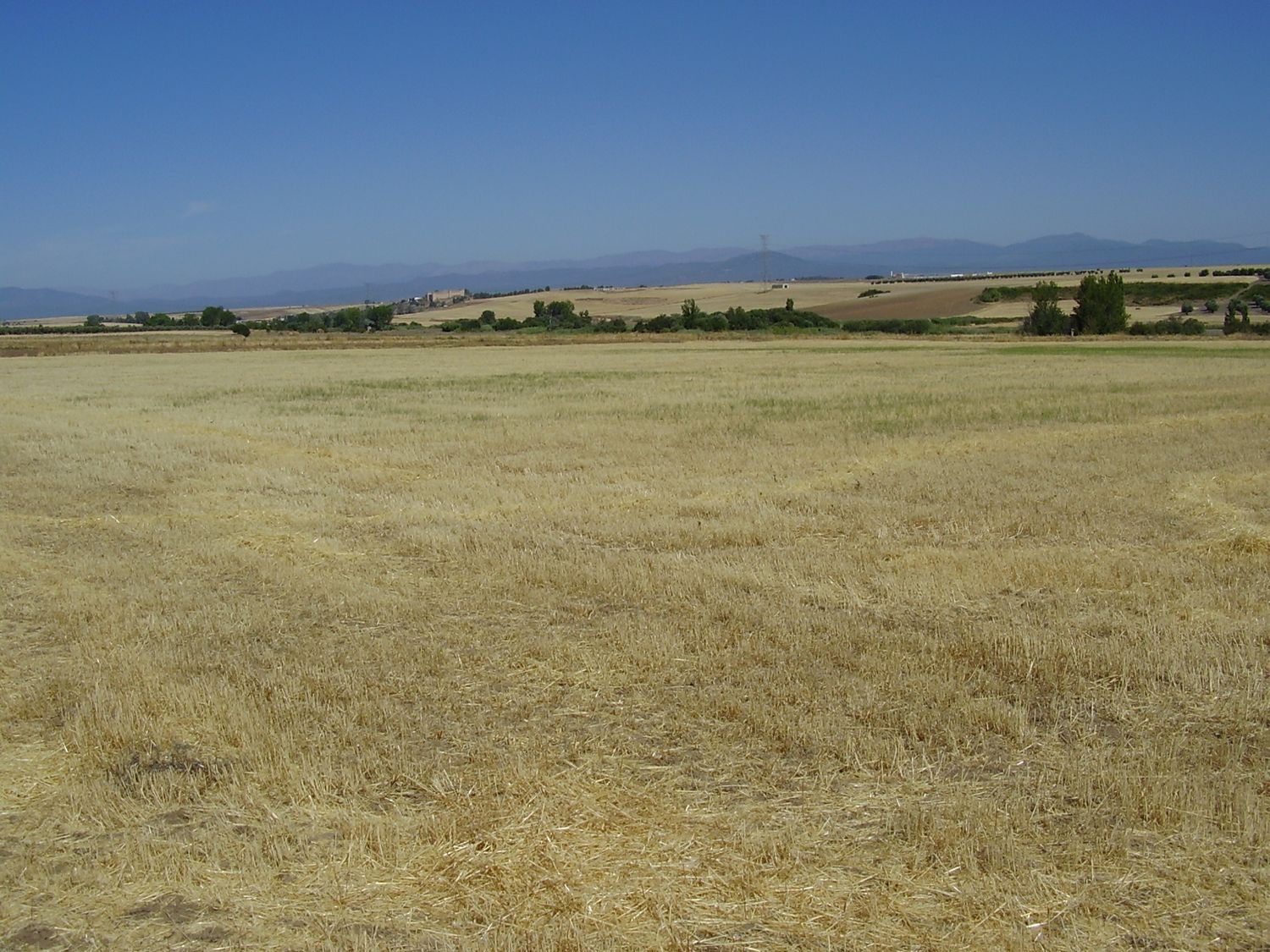 Fincas y solares-Venta-Maqueda-633366-Foto-42