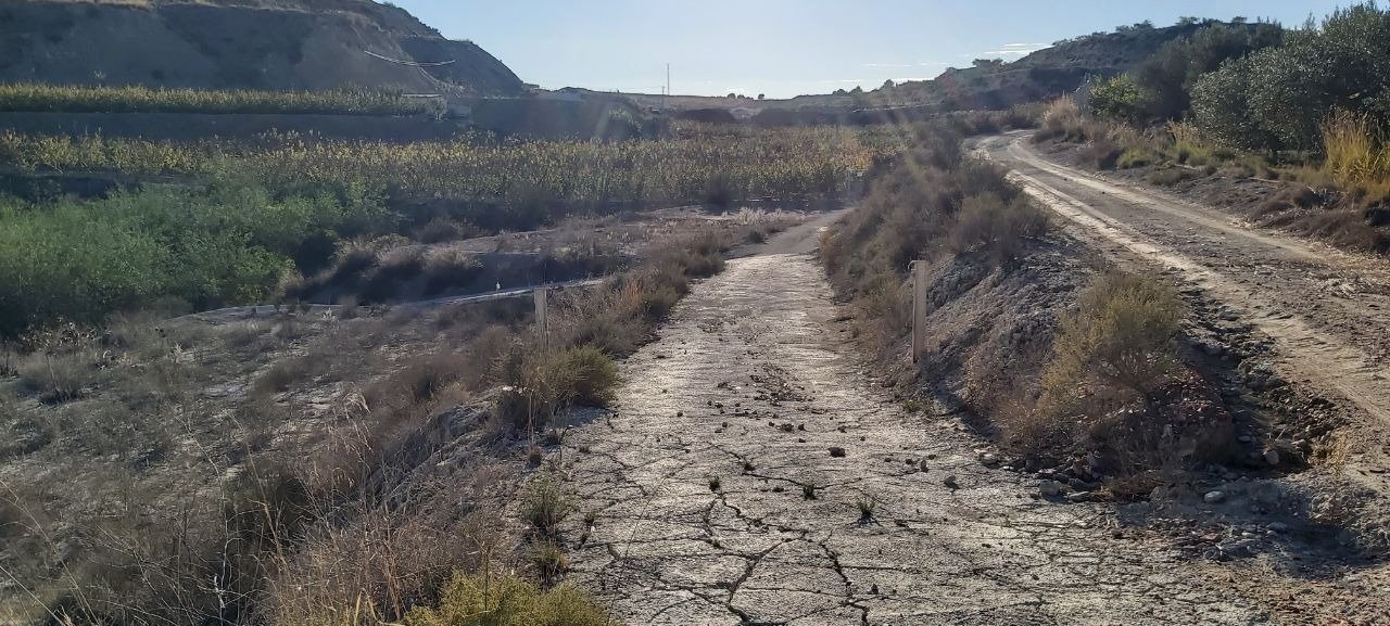 Pisos-Venta-Archena-502223-Foto-10