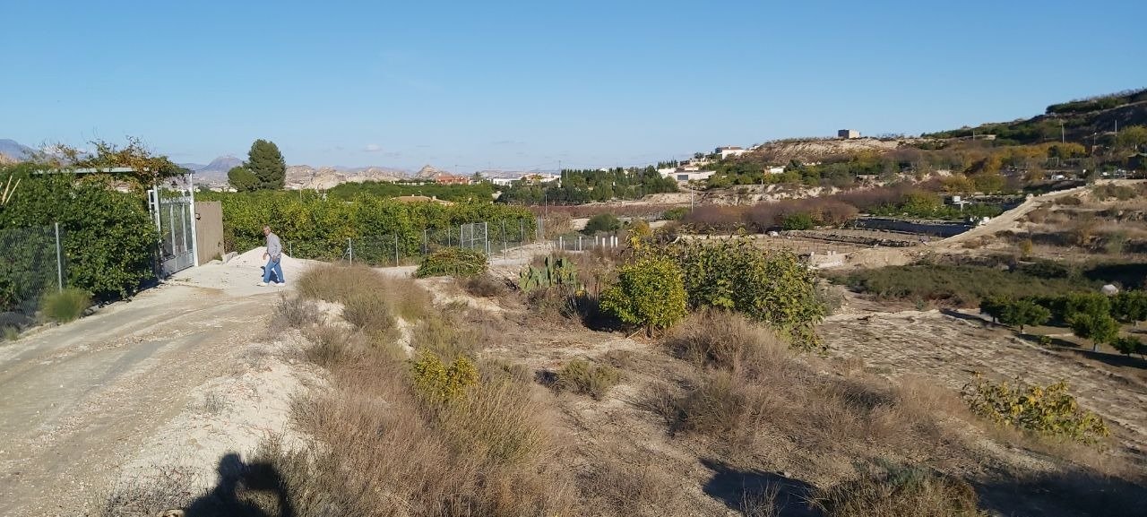 Pisos-Venta-Archena-502223-Foto-6