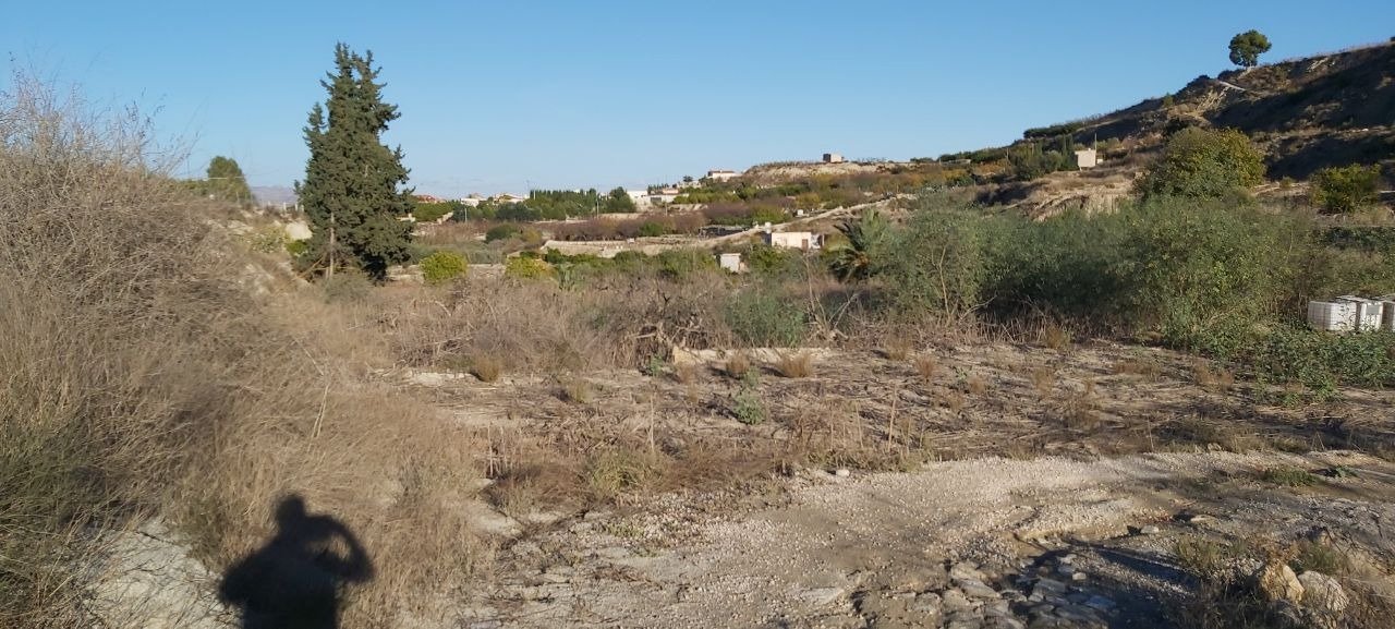 Pisos-Venta-Archena-502223-Foto-8