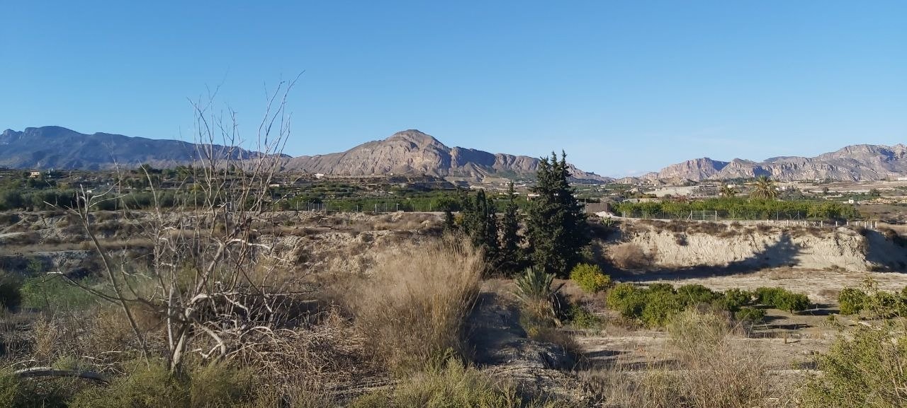 Pisos-Venta-Archena-502223-Foto-15