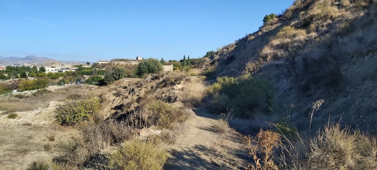 Pisos-Venta-Archena-502223-Foto-16