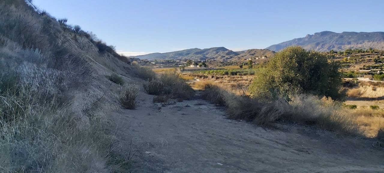 Pisos-Venta-Archena-502223-Foto-17