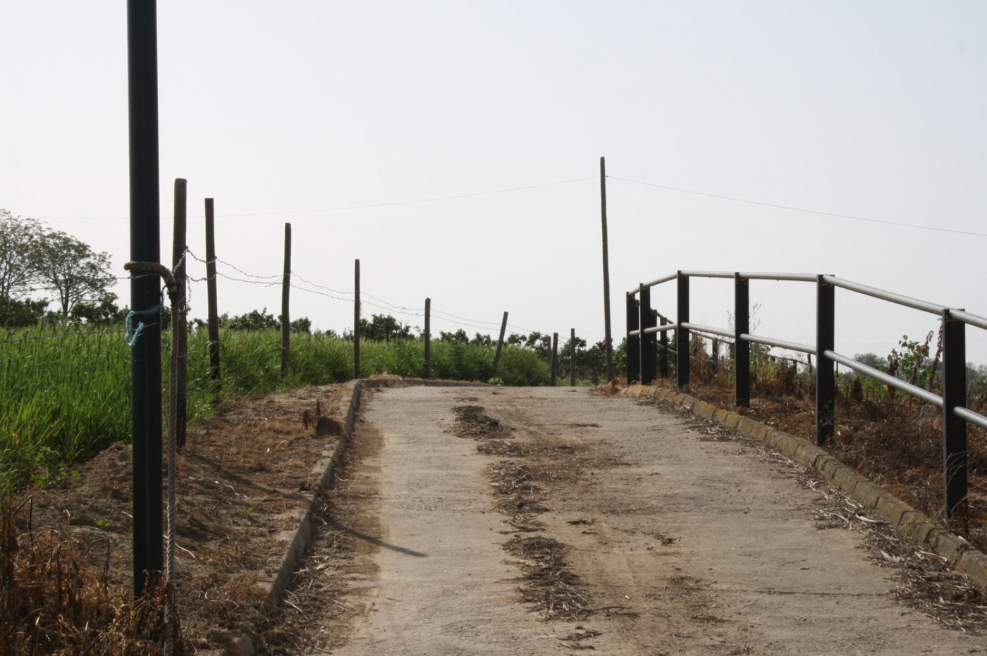 Casas o chalets-Venta-Castilleja del Campo-777717-Foto-6