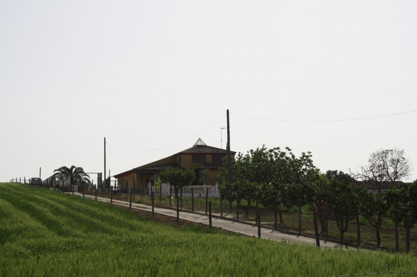 Casas o chalets-Venta-Castilleja del Campo-777717-Foto-8