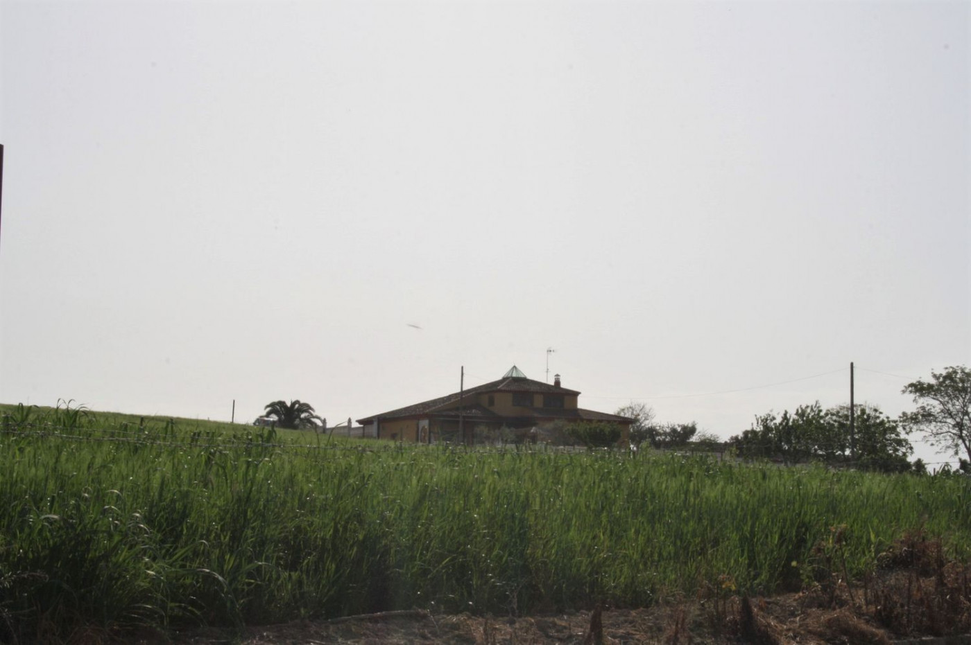 Casas o chalets-Venta-Castilleja del Campo-777717-Foto-2