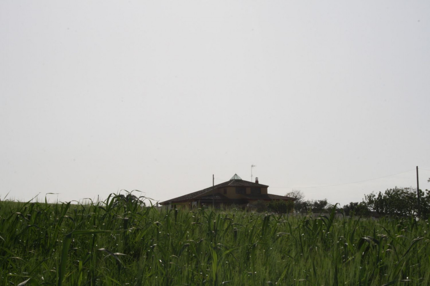 Casas o chalets-Venta-Castilleja del Campo-777717-Foto-3