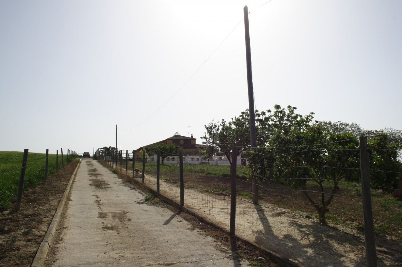 Casas o chalets-Venta-Castilleja del Campo-777717-Foto-10