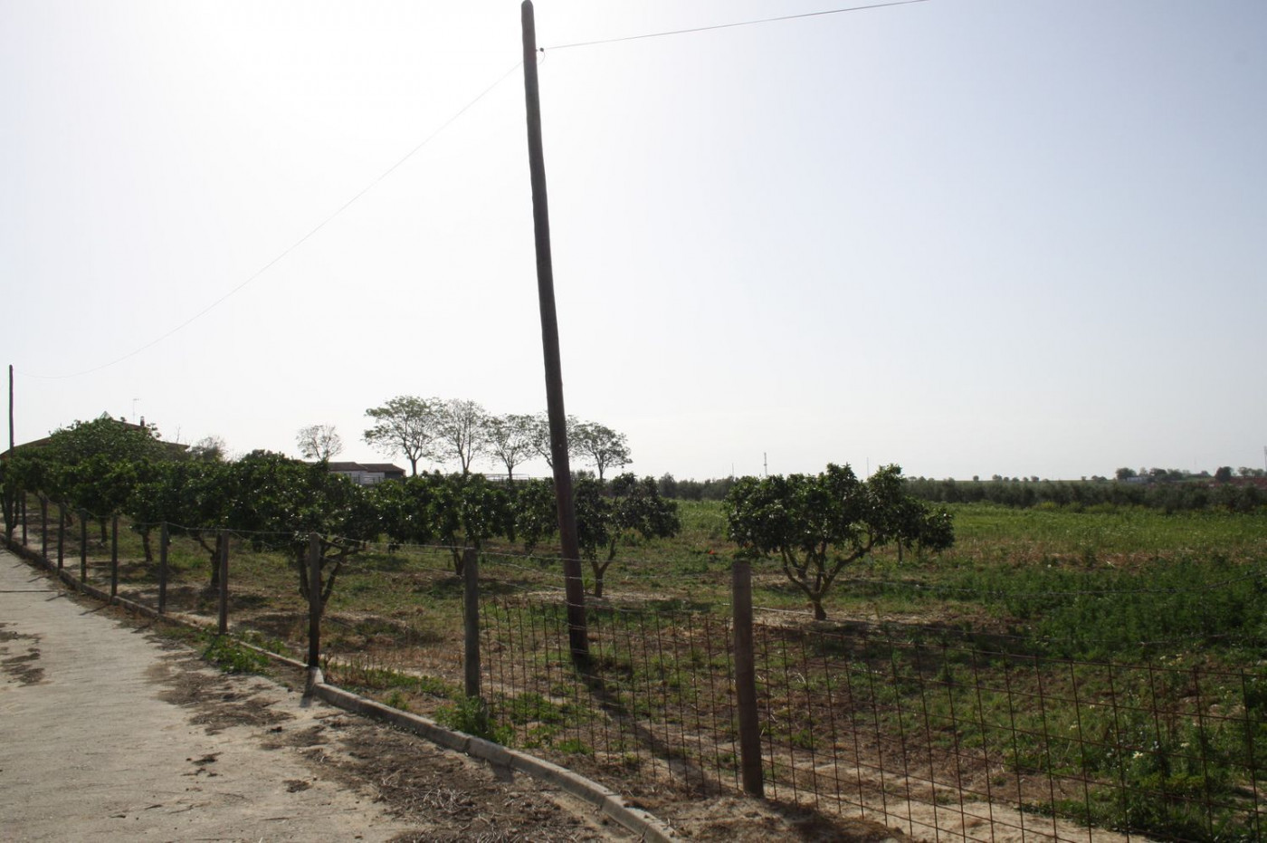 Casas o chalets-Venta-Castilleja del Campo-777717-Foto-9