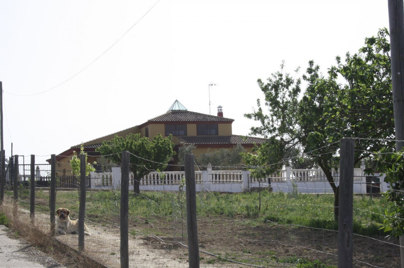 Casas o chalets-Venta-Castilleja del Campo-777717-Foto-11