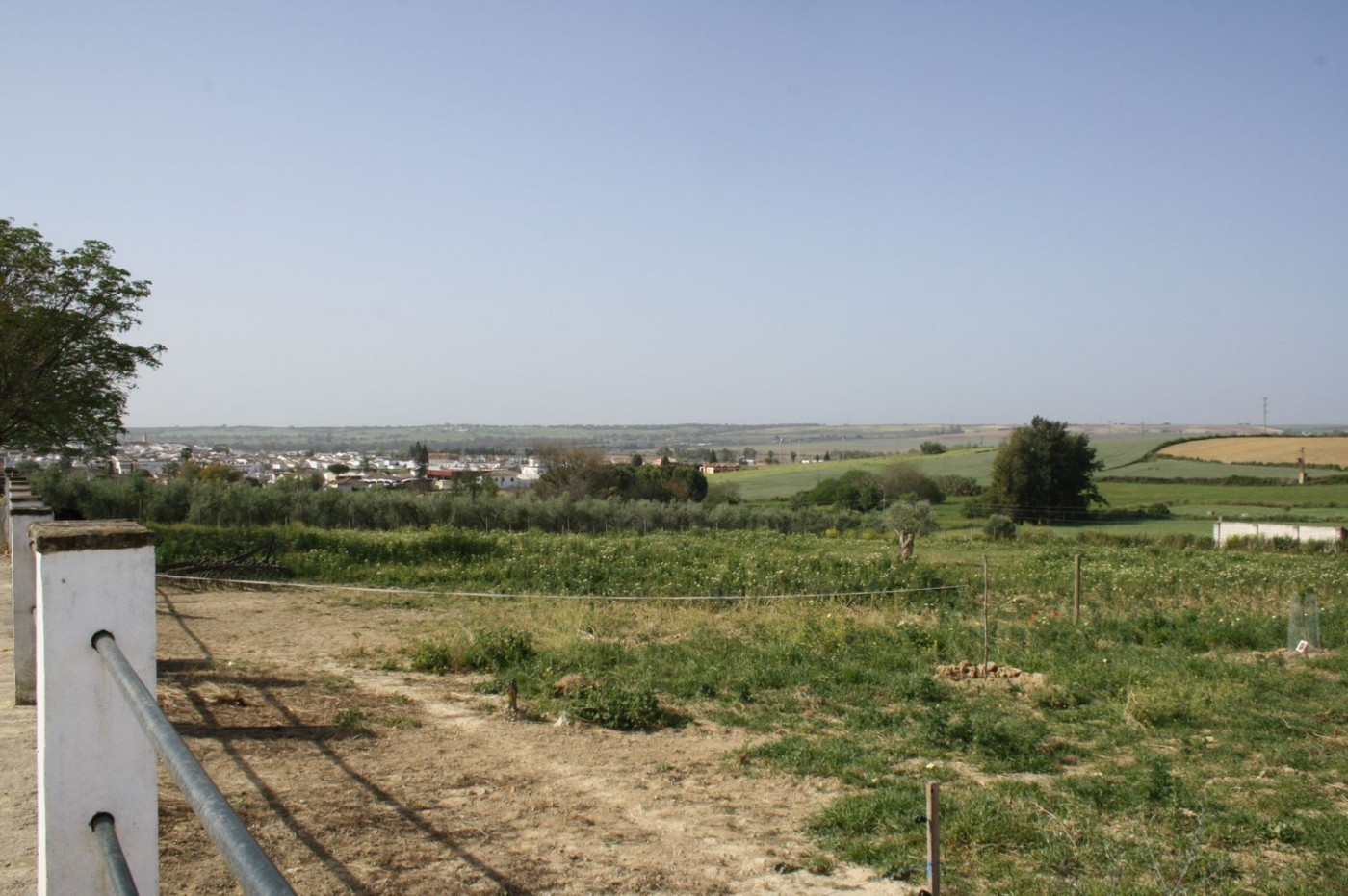 Casas o chalets-Venta-Castilleja del Campo-777717-Foto-14