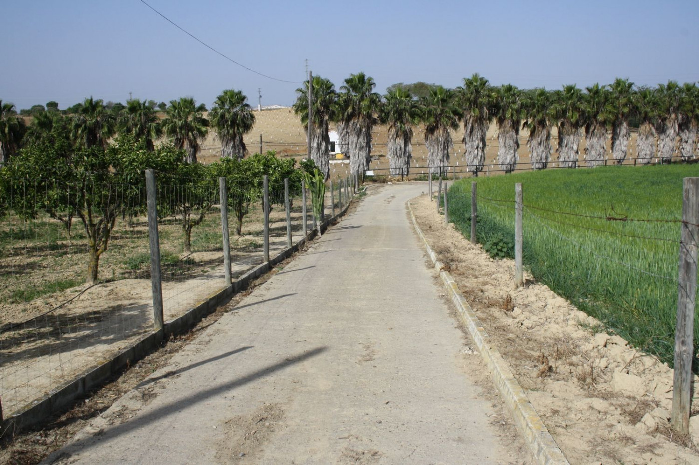 Casas o chalets-Venta-Castilleja del Campo-777717-Foto-12