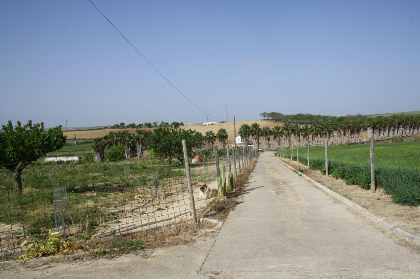 Casas o chalets-Venta-Castilleja del Campo-777717-Foto-13