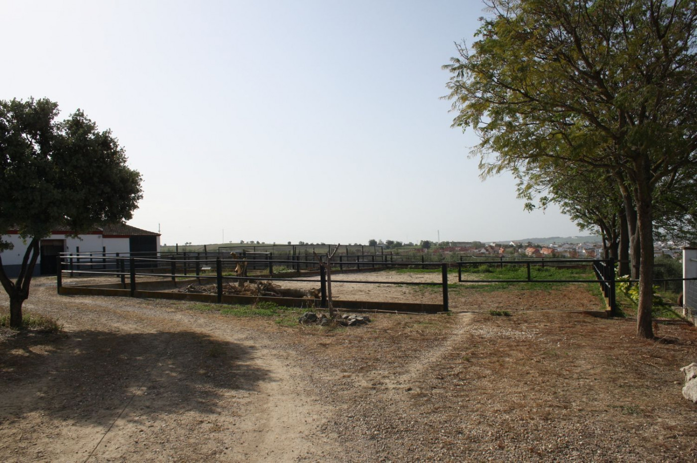 Casas o chalets-Venta-Castilleja del Campo-777717-Foto-16