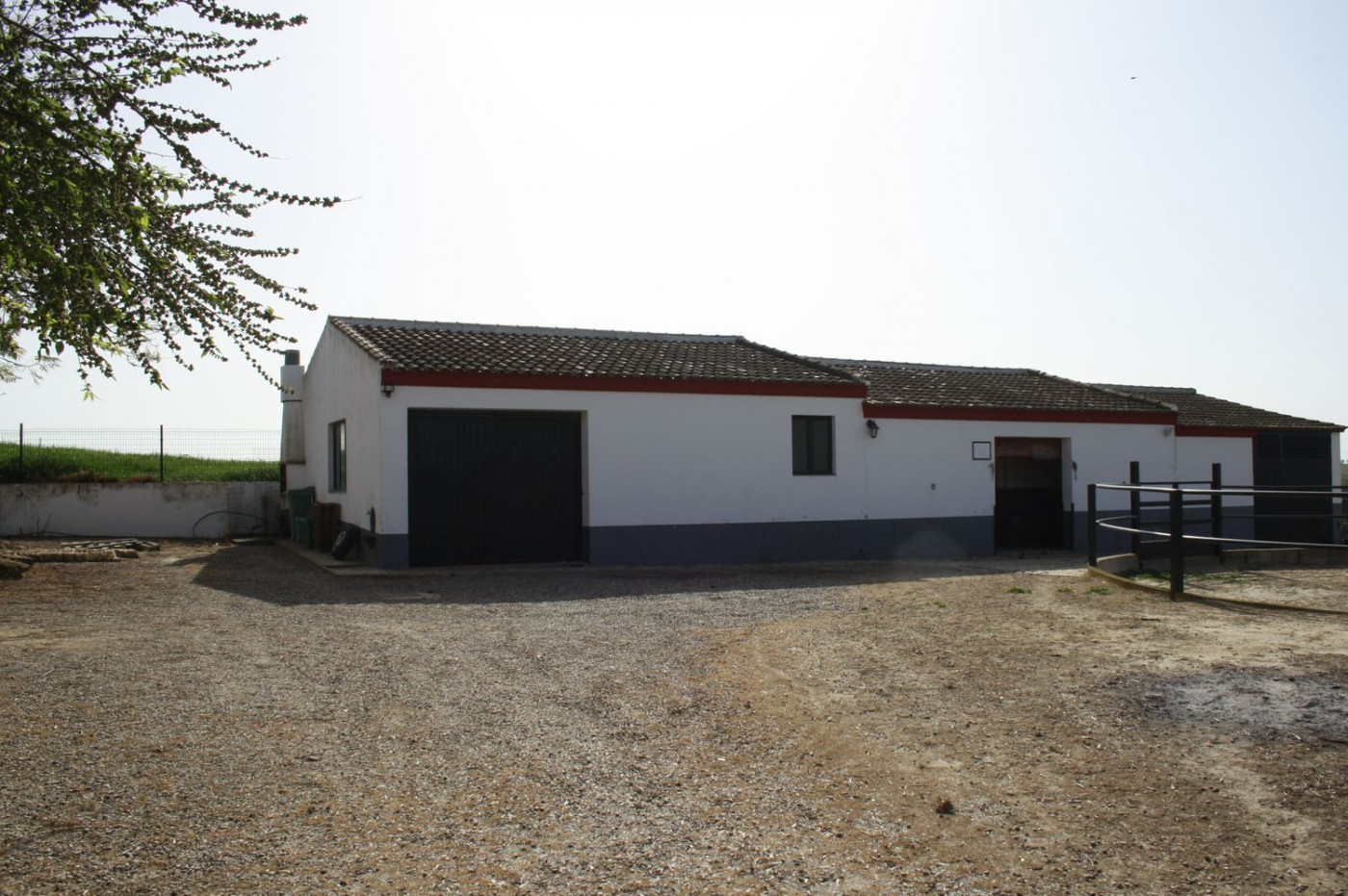 Casas o chalets-Venta-Castilleja del Campo-777717-Foto-18