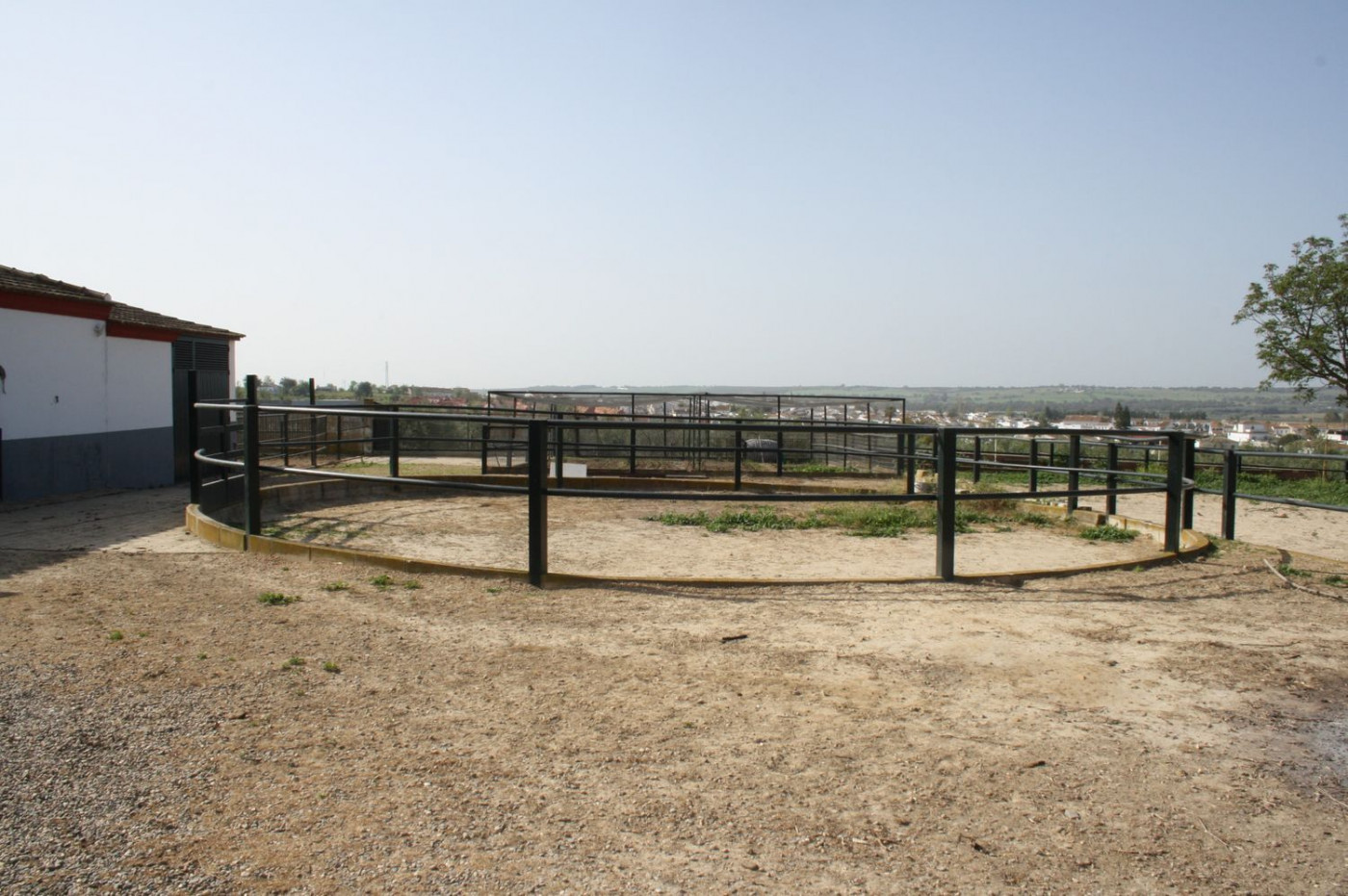 Casas o chalets-Venta-Castilleja del Campo-777717-Foto-19