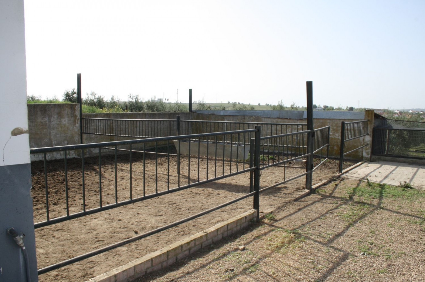 Casas o chalets-Venta-Castilleja del Campo-777717-Foto-22