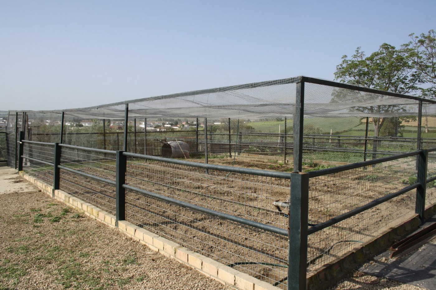 Casas o chalets-Venta-Castilleja del Campo-777717-Foto-23