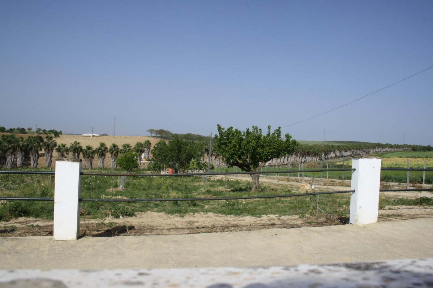 Casas o chalets-Venta-Castilleja del Campo-777717-Foto-27