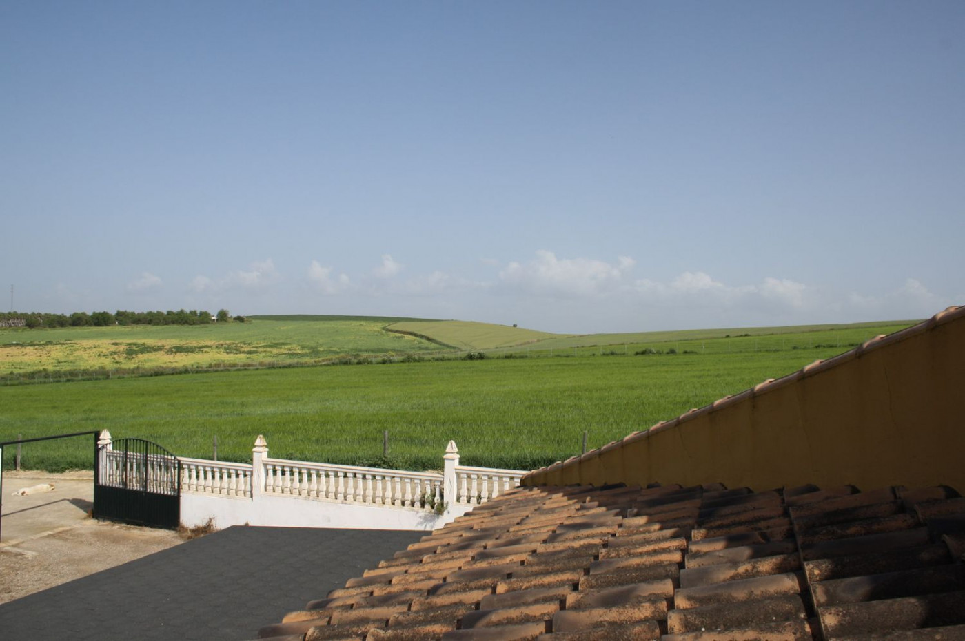 Casas o chalets-Venta-Castilleja del Campo-777717-Foto-64