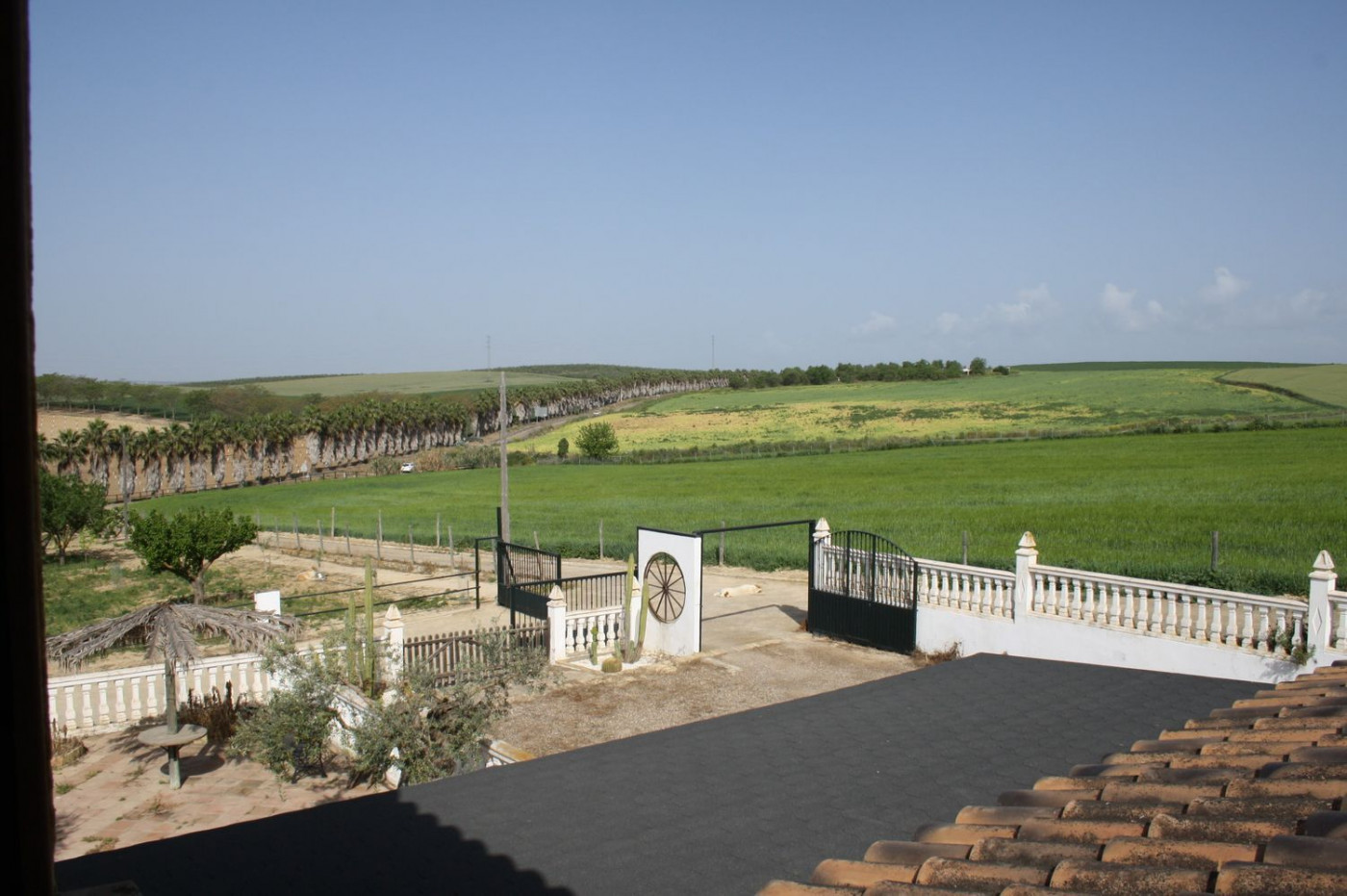 Casas o chalets-Venta-Castilleja del Campo-777717-Foto-63