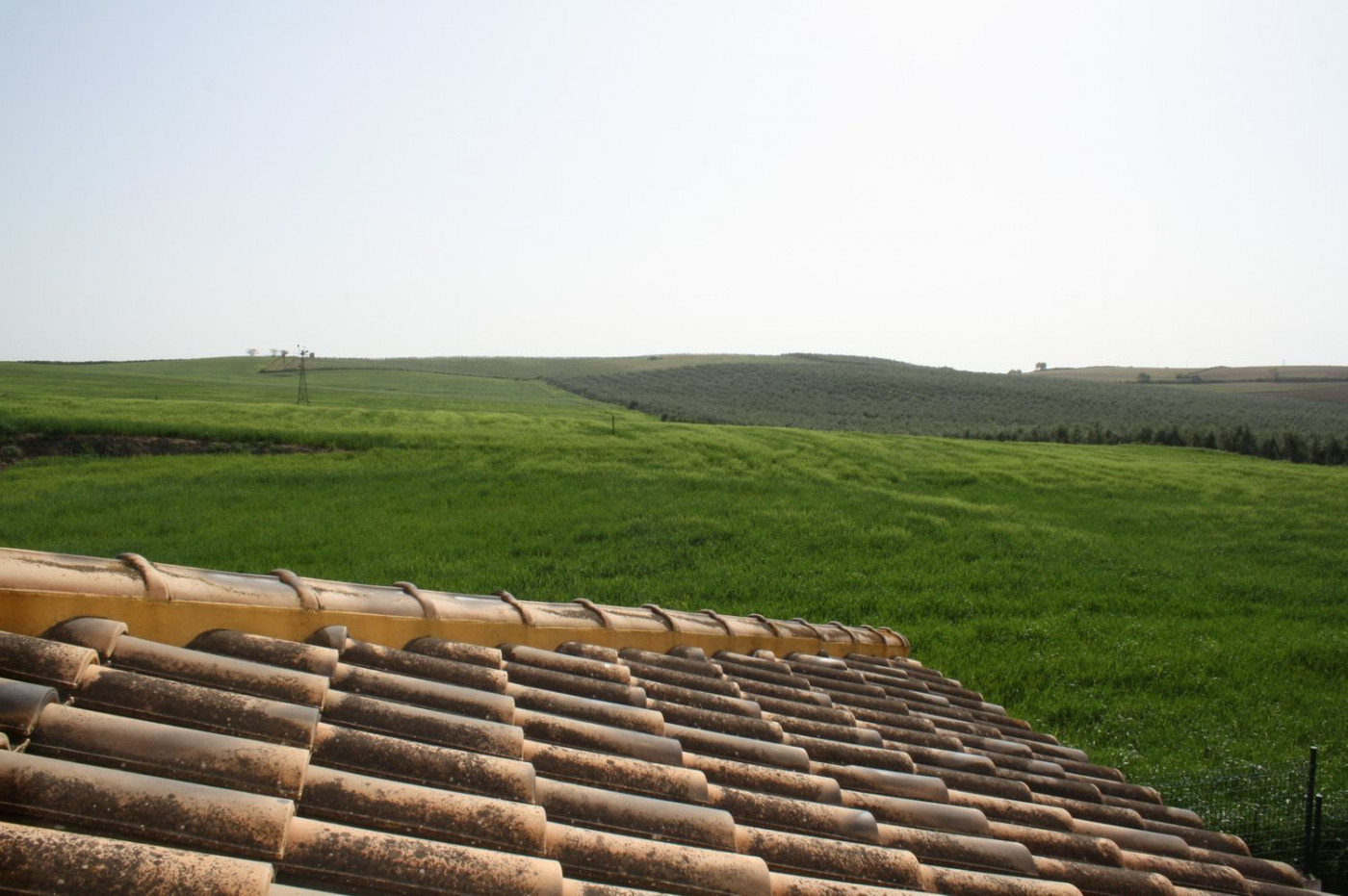 Casas o chalets-Venta-Castilleja del Campo-777717-Foto-71