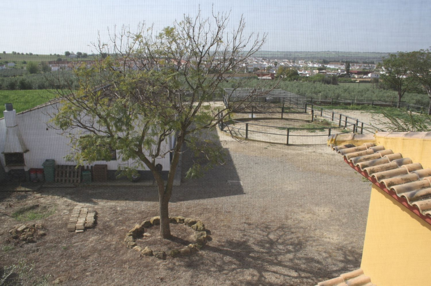 Casas o chalets-Venta-Castilleja del Campo-777717-Foto-69