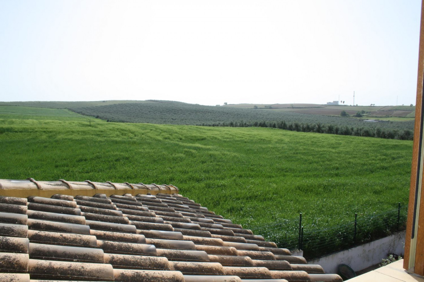 Casas o chalets-Venta-Castilleja del Campo-777717-Foto-72