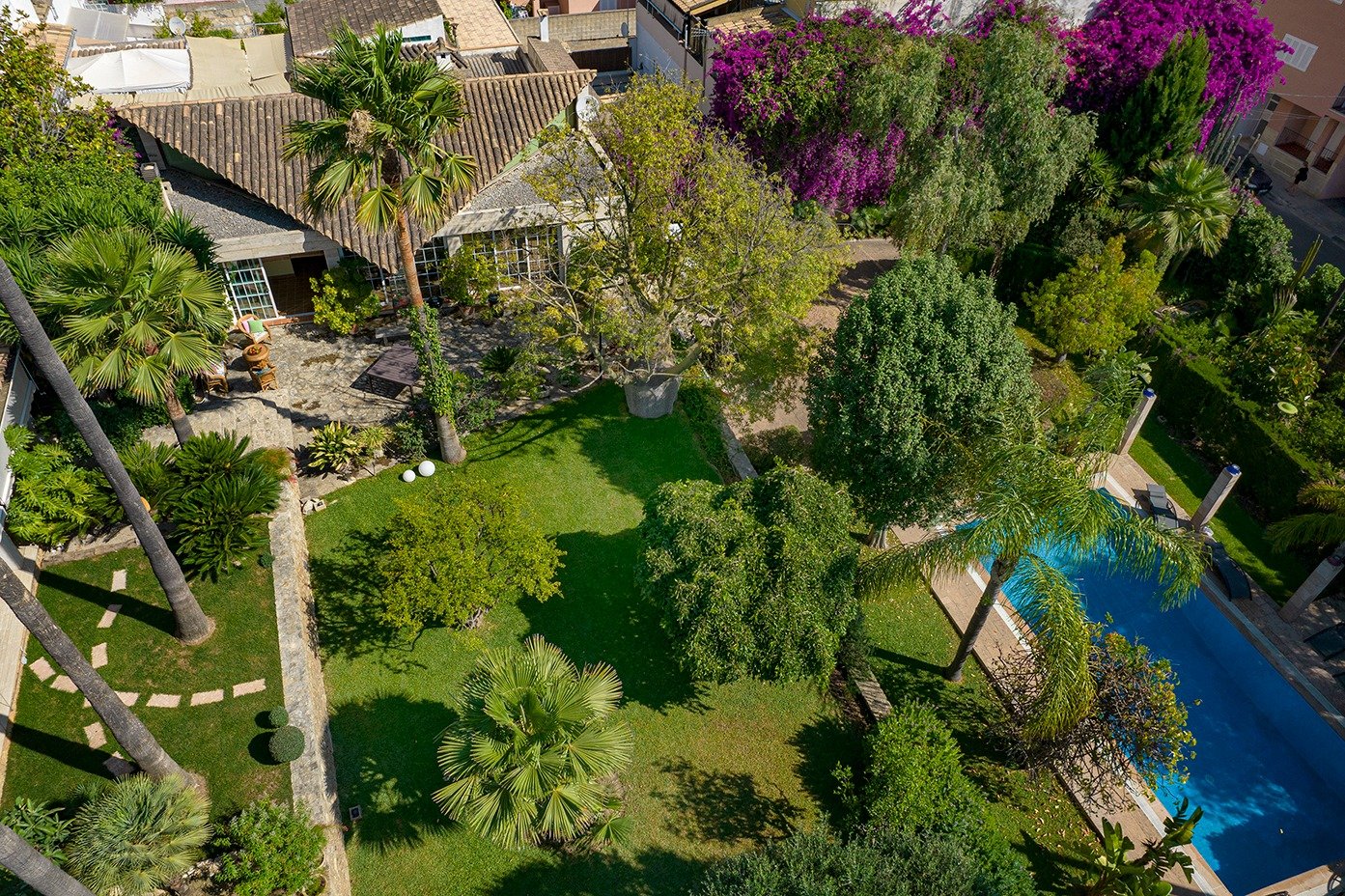 Casas o chalets-Venta-Inca-591946-Foto-40