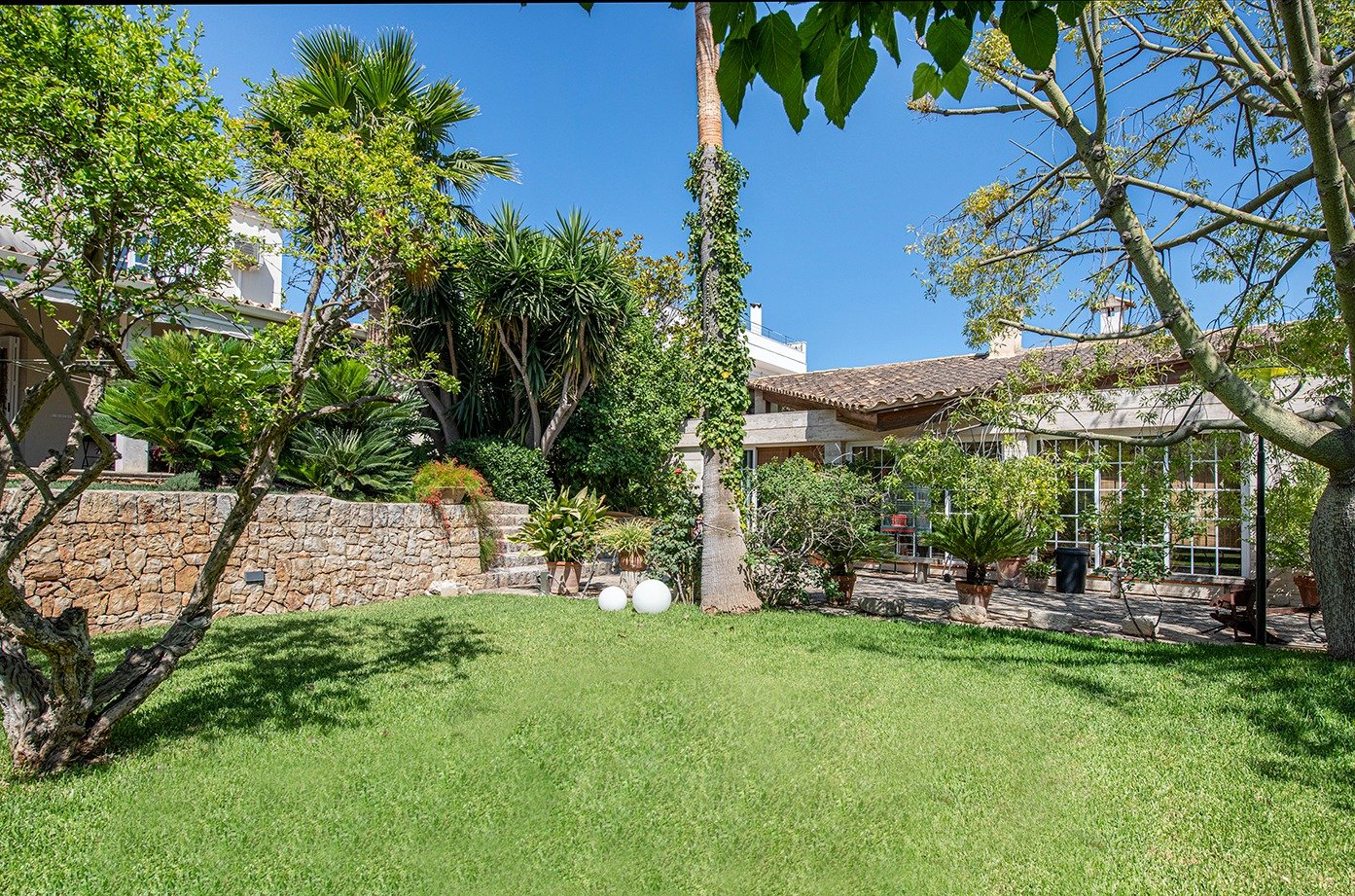 Casas o chalets-Venta-Inca-591946-Foto-43