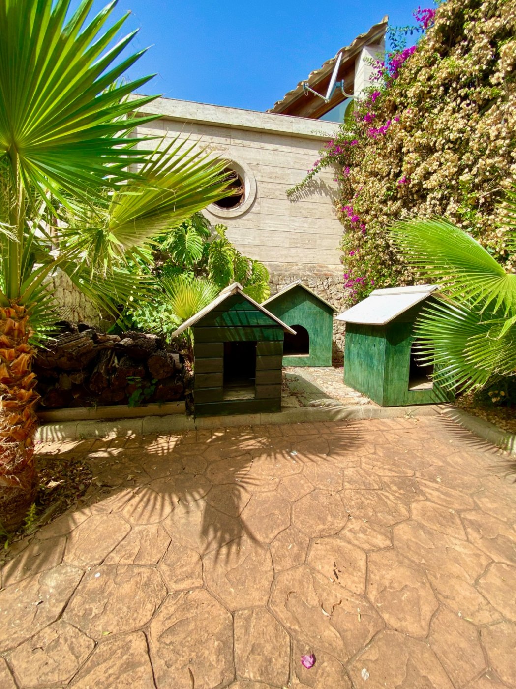 Casas o chalets-Venta-Inca-591946-Foto-44