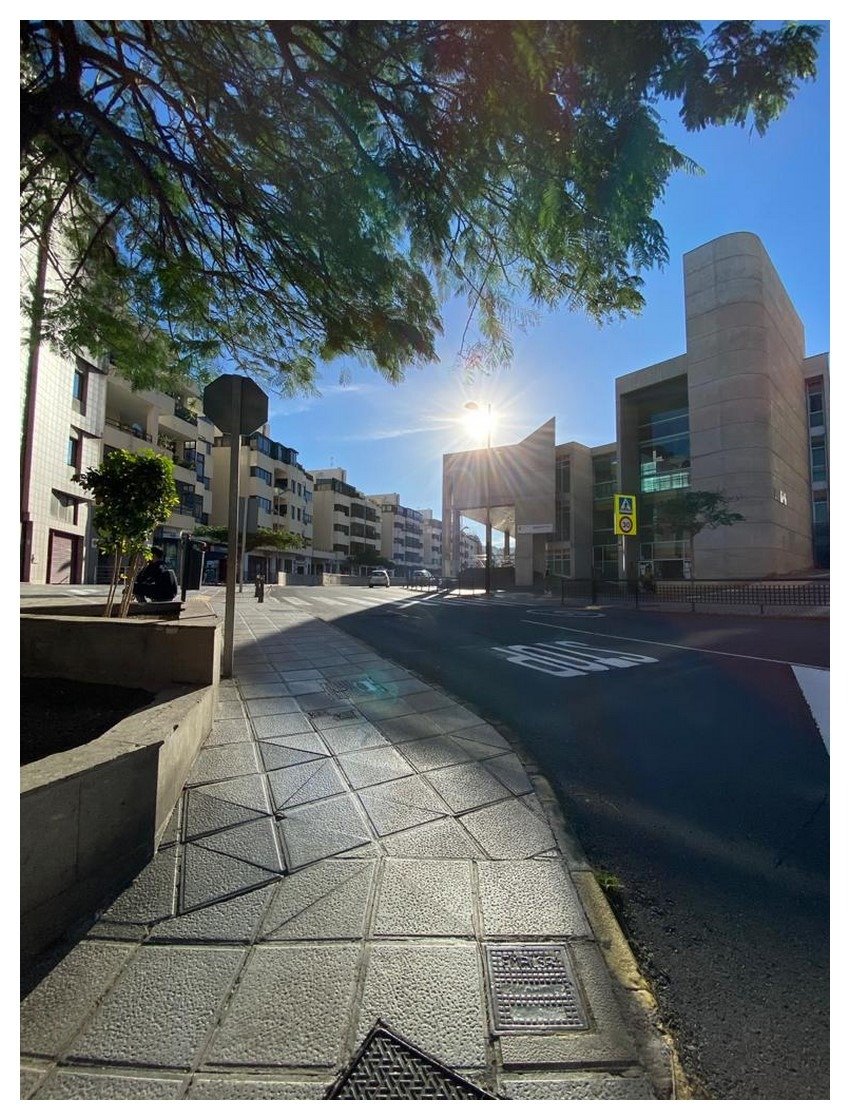 Pisos-Venta-Las Palmas de Gran Canaria-698260-Foto-18