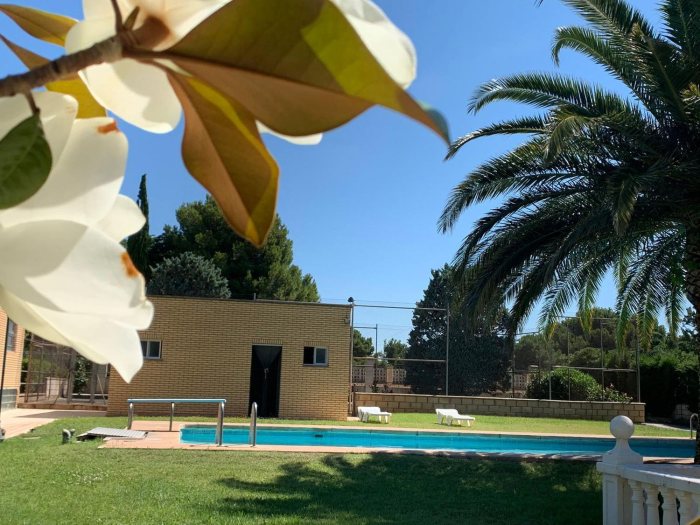 Casas o chalets-Venta-Casetas-730085-Foto-3