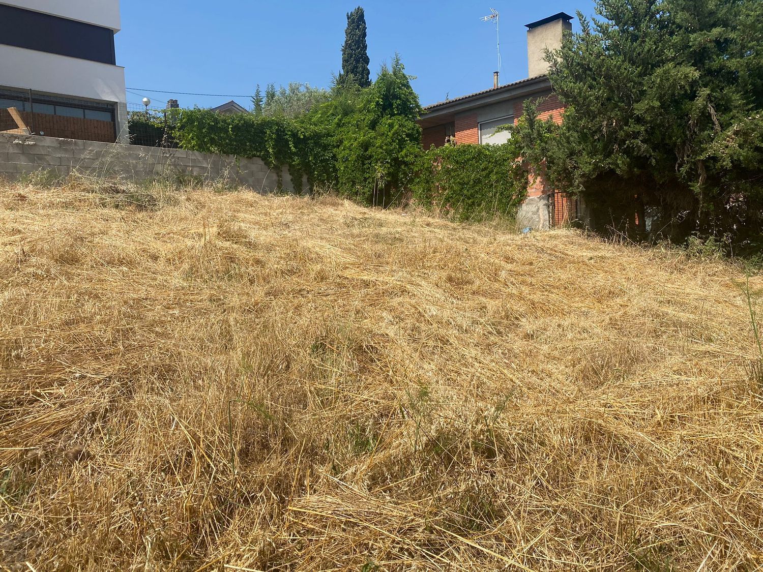 Fincas y solares-Venta-Palau-solitÃ  i Plegamans-705580-Foto-58