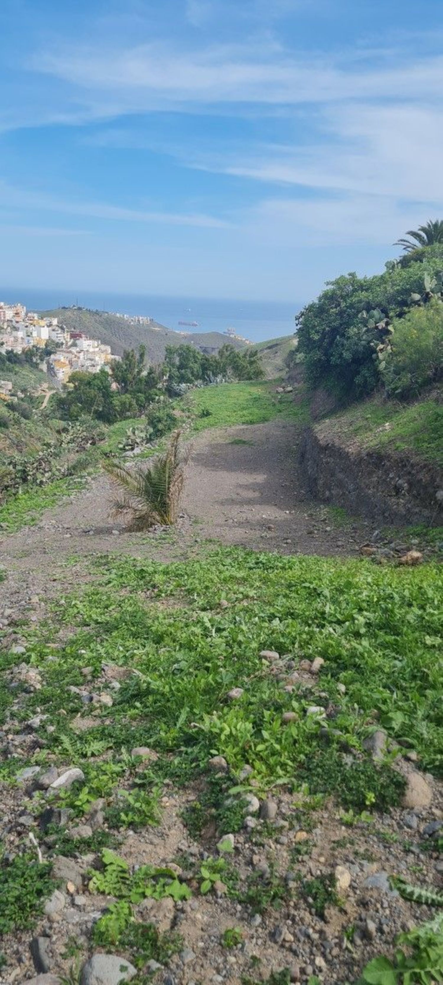 Fincas y solares-Venta-746282