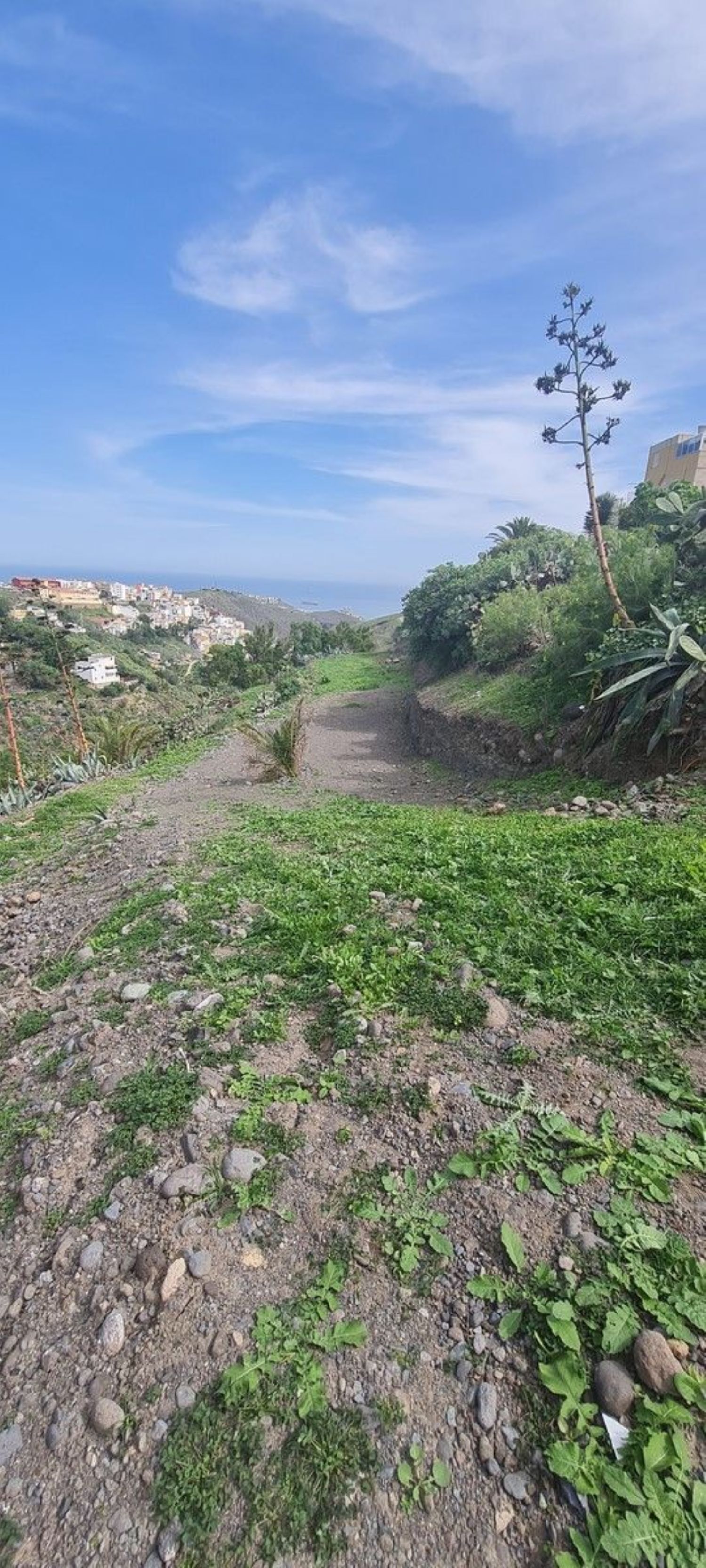 Fincas y solares-Venta-Las Palmas de Gran Canaria-746282-Foto-2