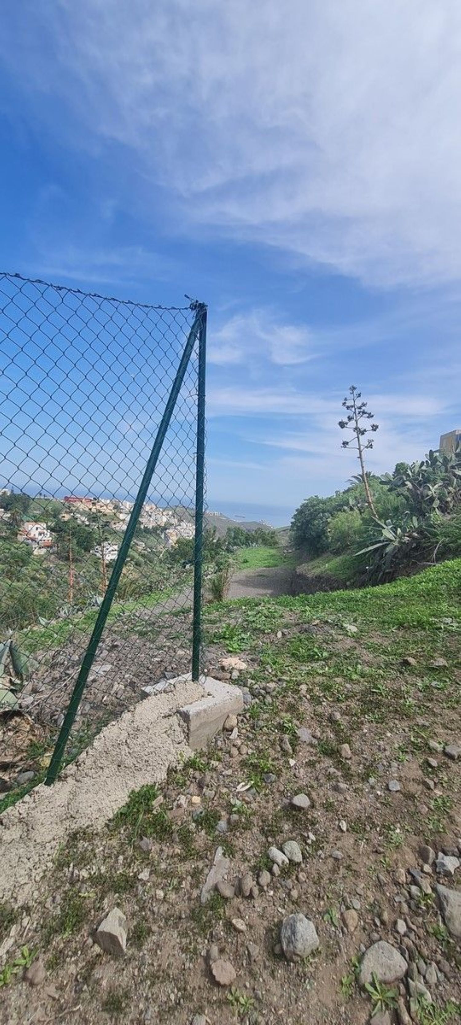 Fincas y solares-Venta-Las Palmas de Gran Canaria-746282-Foto-3