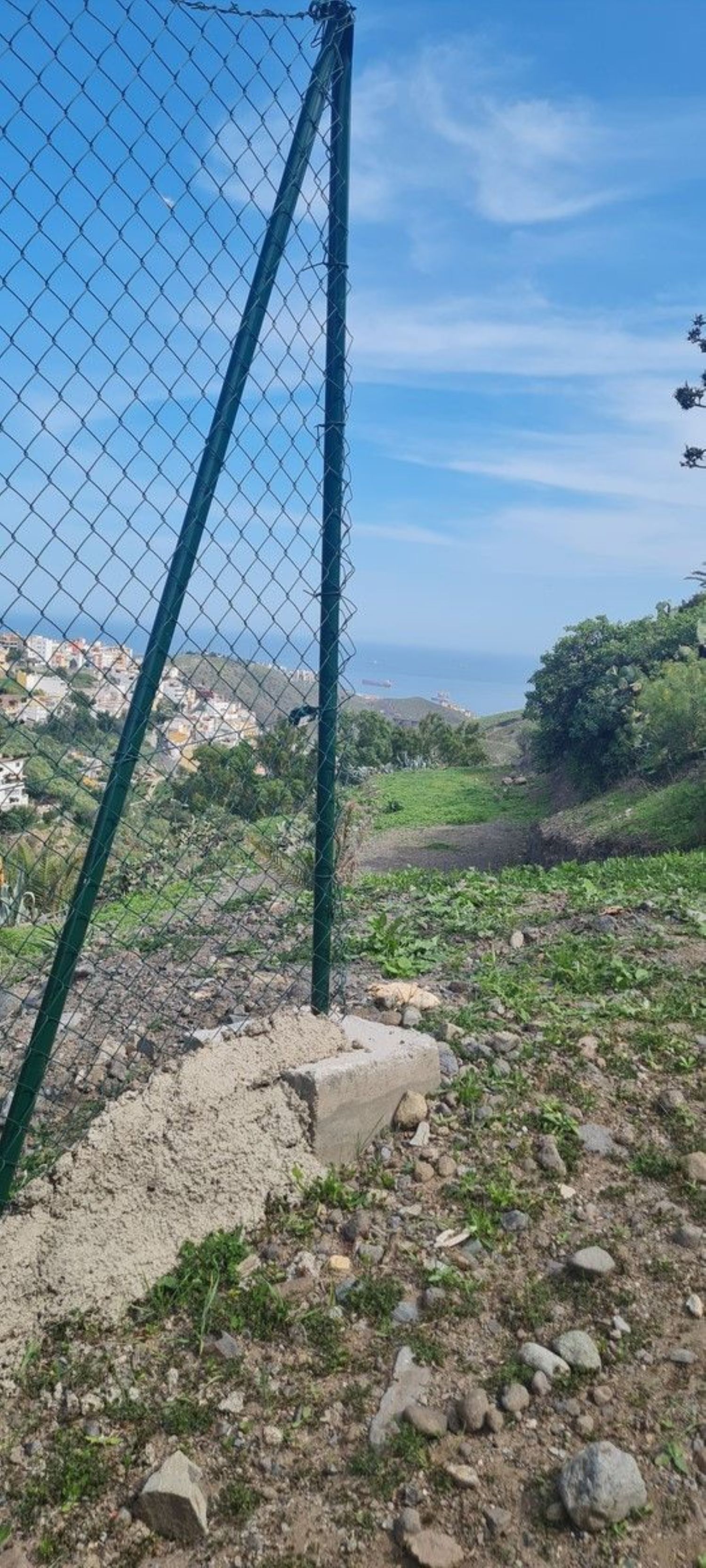 Fincas y solares-Venta-Las Palmas de Gran Canaria-746282-Foto-4