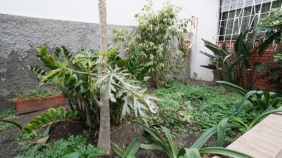 Pisos-Venta-Las Palmas de Gran Canaria-731060-Foto-3