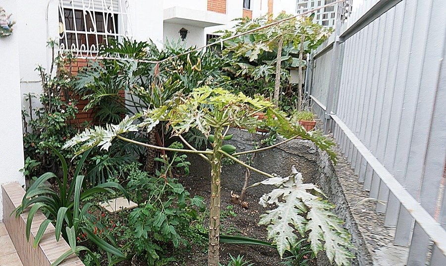 Pisos-Venta-Las Palmas de Gran Canaria-731060-Foto-57